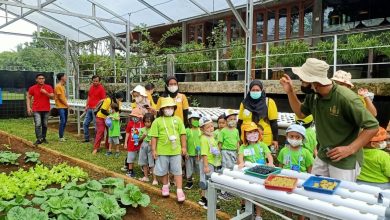 Ekowisata Indonesia Di Nara Kupu Village