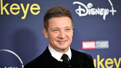 Aktor Marvel Jeremy Renner | Foto: New York Times