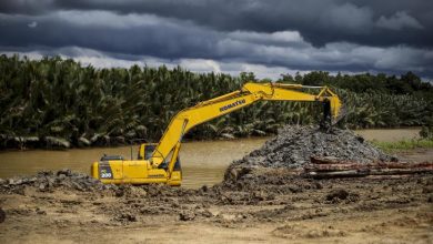 Pembangunan Dermaga Logistik di IKN | Foto: Istimewa