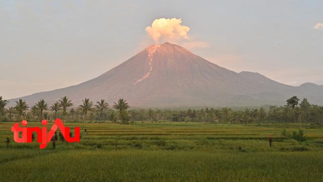 Semeru ketika Erupsi November 2022
