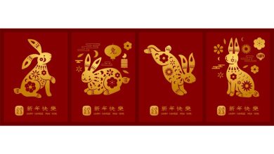 Year of Rabbit | Foto: Design Bundles