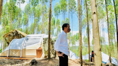 Jokowi