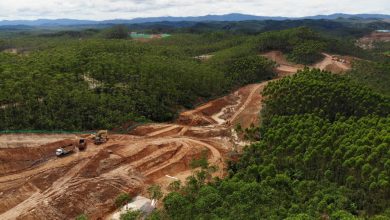 Foto udara salah satu proyek pembangunan IKN