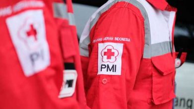 PMI siap membantu korban gempa Turki