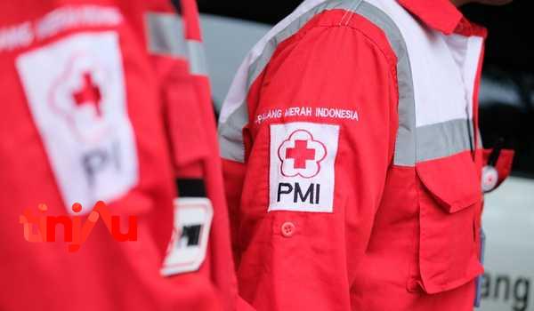 PMI siap membantu korban gempa Turki