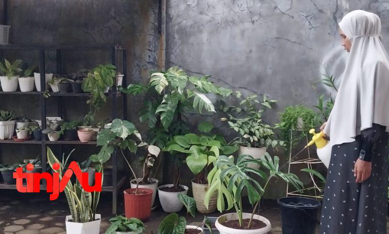 Yuni Permana tengah berkebun di halaman rumahnya