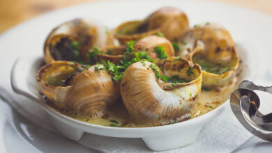 Manfaat Escargot