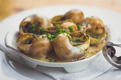Manfaat Escargot