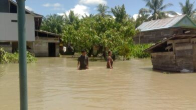 Banjir Luwu Utara