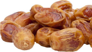 Kurma
