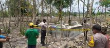 Makam