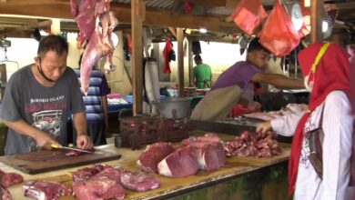 Pedagang Daging