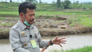 Syahrul Yasin Limpo