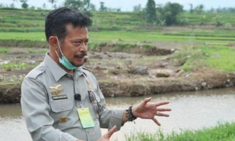 Syahrul Yasin Limpo