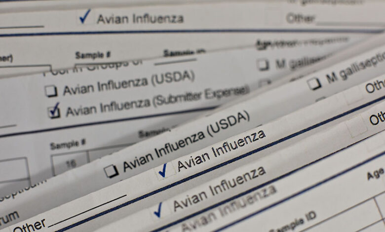 Flu Burung