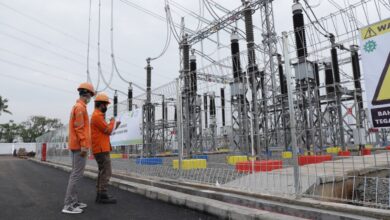 pln