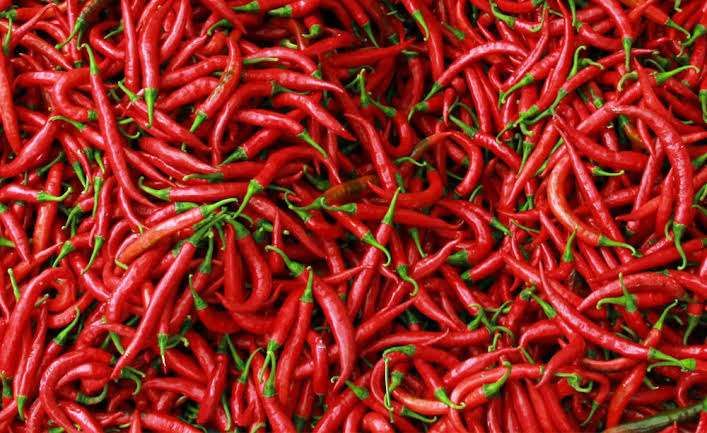 Cabai Merah