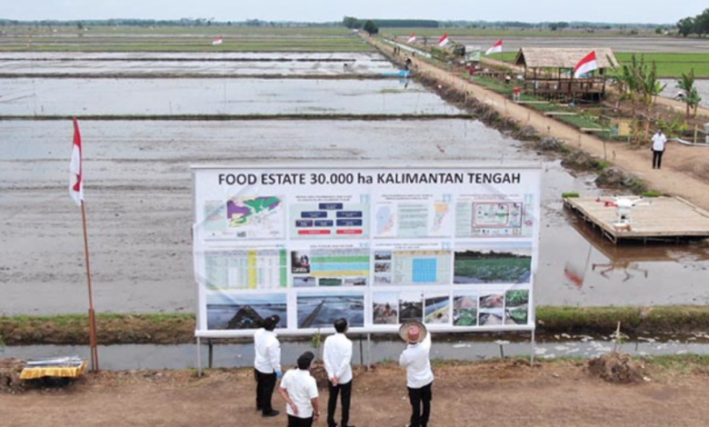 Food Estate