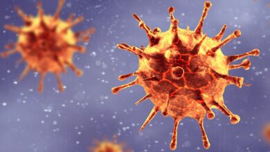 Virus