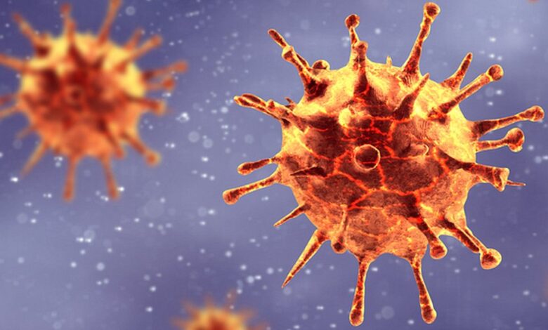 Virus