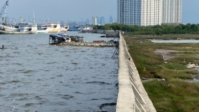 Tanggul Laut
