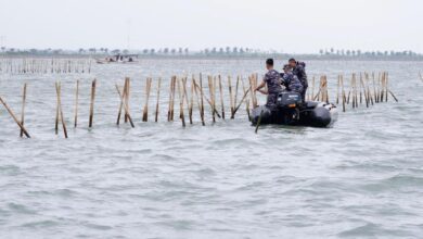 Pagar Laut