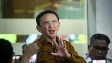 Ahok