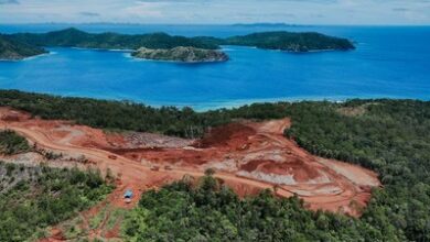 Nikel Raja Ampat