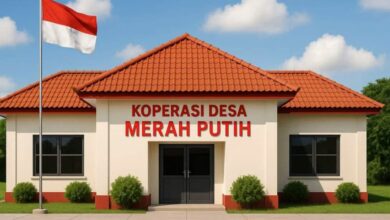 Koperasi